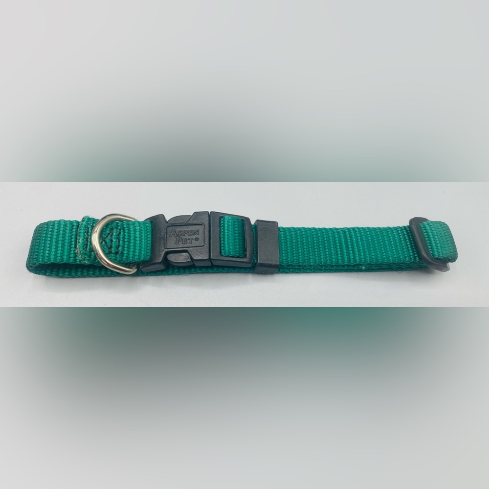 Aspen Pet Dark Green Medium Pet Collar